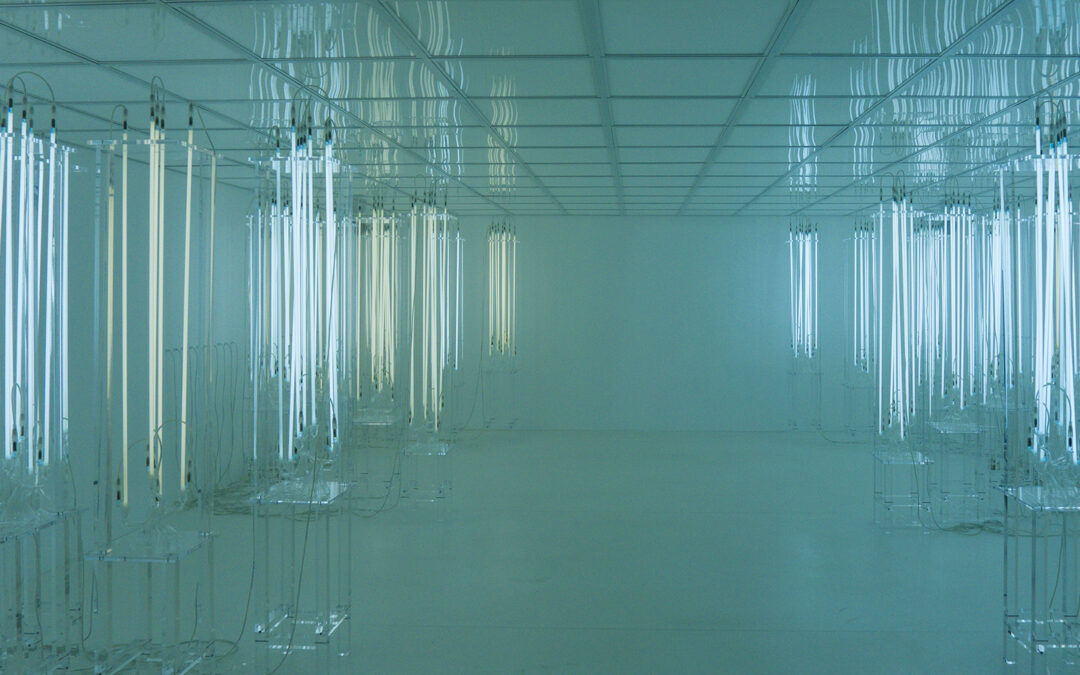 Venice Biennale 2013 – Highlights (Part II)